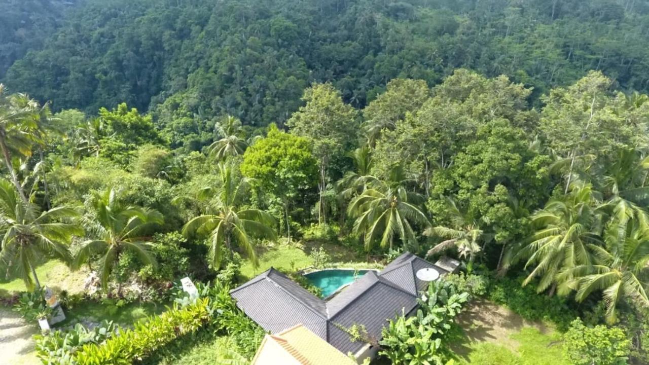 Villa Amara Giri I Ubud Esterno foto