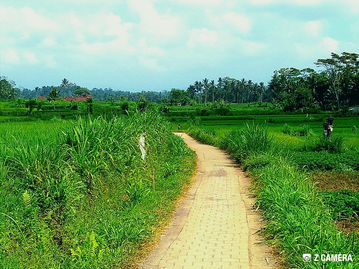 Villa Amara Giri I Ubud Esterno foto
