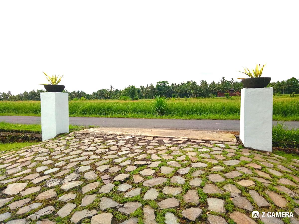 Villa Amara Giri I Ubud Esterno foto