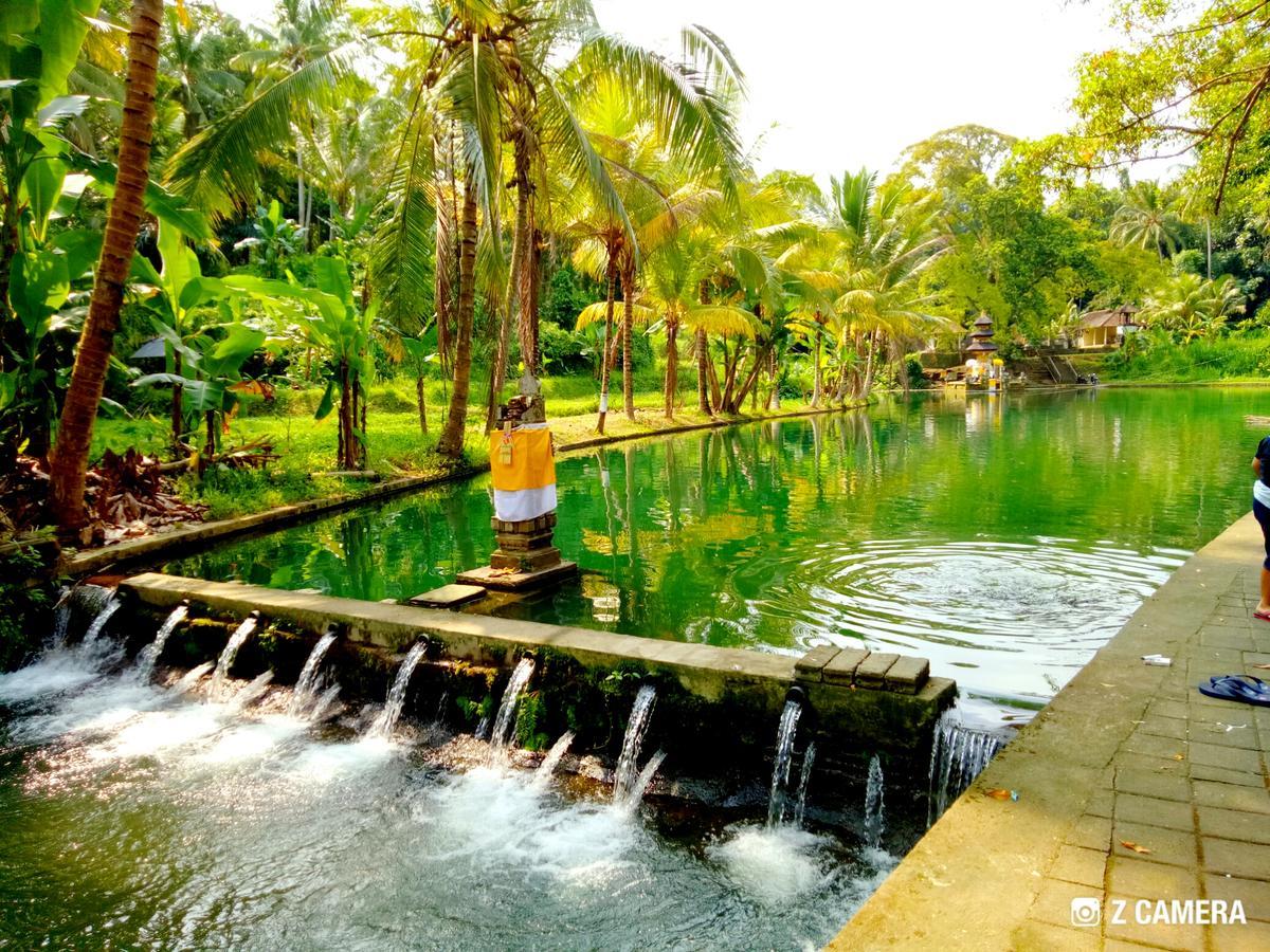 Villa Amara Giri I Ubud Esterno foto